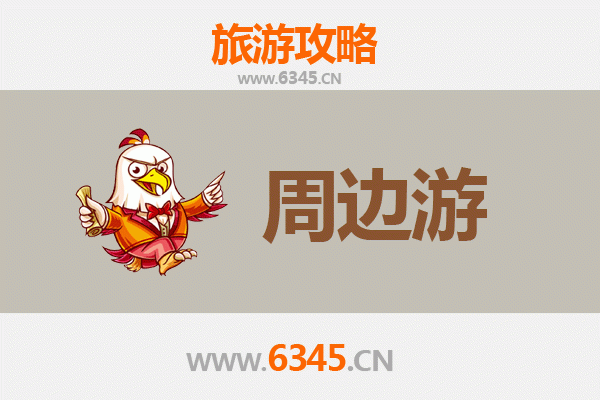 海南白沙元门乡深度游攻略：雨林探秘与黎族文化体验