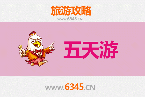 海南白沙元门乡五天四夜深度游攻略：雨林探秘与黎族文化体验